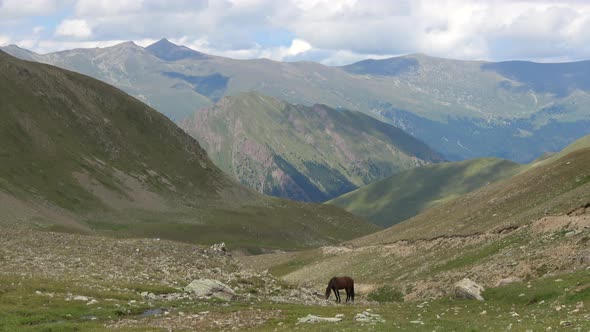 Valley scenes in national park of Dombay, Caucasus, Russia