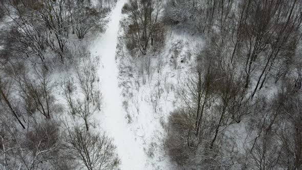Path in winter forest, aerial view with white snow
