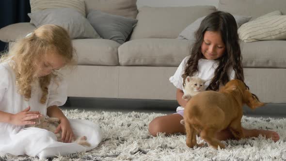 two little girls and boy playing with cocker spaniel puppy and Scottish Fold kitty in living room