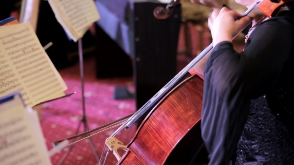 Female Musician Playing The Cello At Symphony