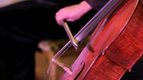 Violinist Musician Playing The Cello