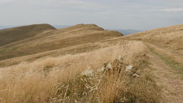 Beautiful natural scenery under Midzor peak 4K 2160p 30fps UltraHD footage - Famous  mountain ranges alt