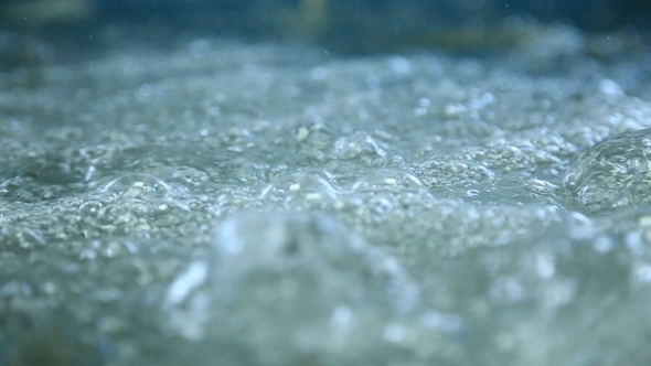 The Water Boils in an Oxygen Bath alt