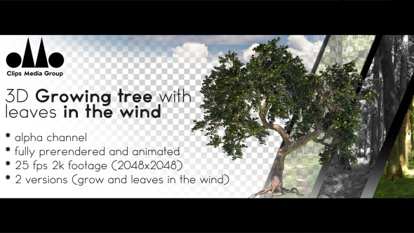 Photorealistic 3D Growing Tree With Leaves In The Wind