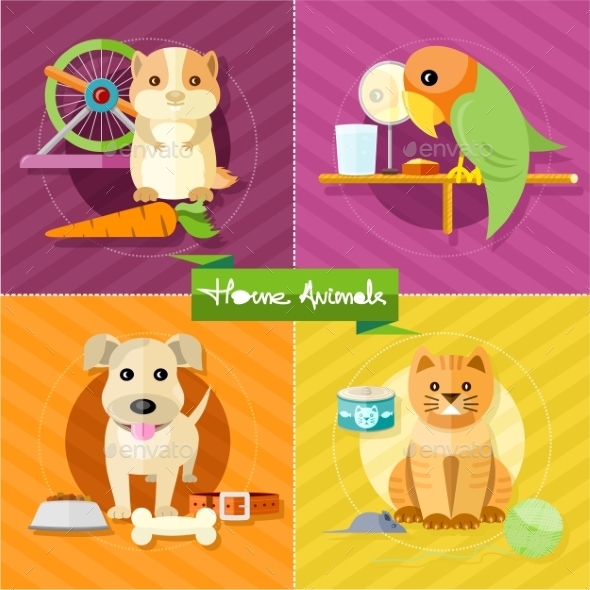 Hamster, Parrot, Cat and Dog - Animals Characters