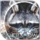 Spiral Slideshow - VideoHive Item for Sale