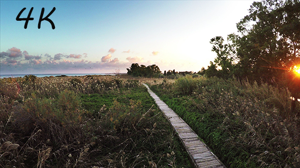 Aerial Path in the Natural Reserve alt