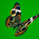 Butterfly on Green Background 3 - VideoHive Item for Sale