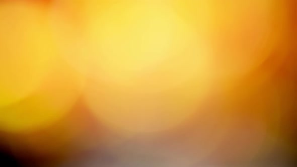 Multicolored Light Leaks  Footage on Black Background Stylizing Video Transitions Bokeh Effect alt