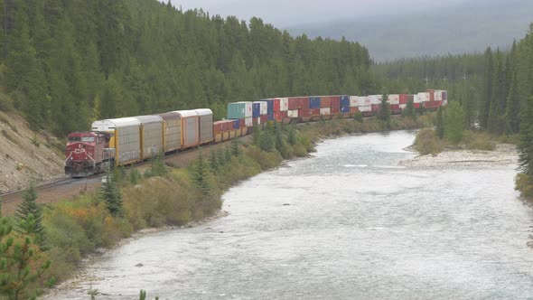 Freight train rolling in the forest alt