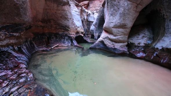 Canyon in Zion