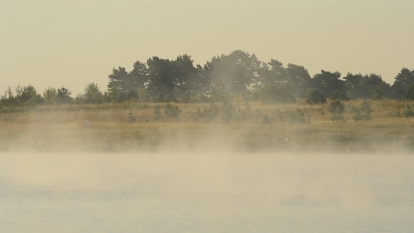 Beautiful Fog In Morning Above Water In Lake Or