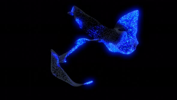 Beautiful Transform of Object From Particles in Force Field Into Abstract Beautiful Art Object of alt