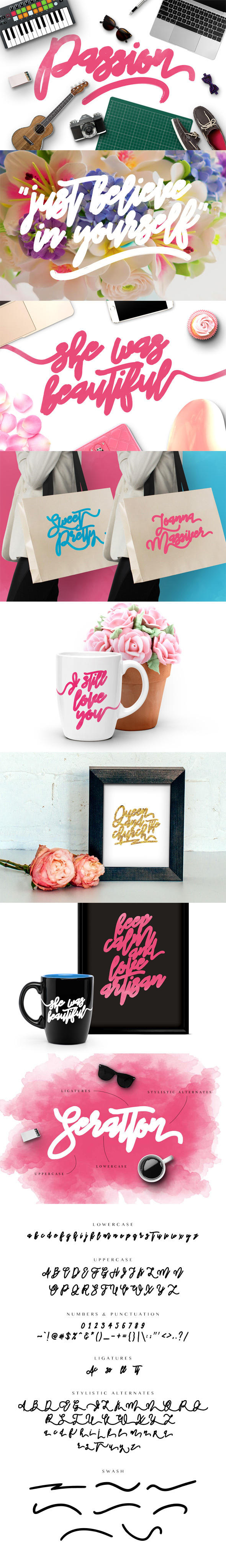 Passion Typeface - Holiday Decorative