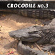 Crocodile No.3 - VideoHive Item for Sale