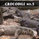 Crocodile No.5 - VideoHive Item for Sale