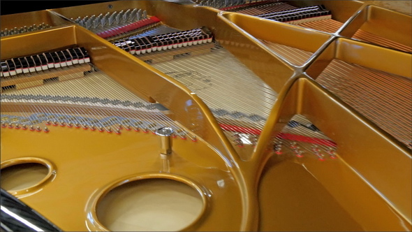 The Back of the Old Grand Piano and its Strings