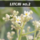 Litchi No.2 - VideoHive Item for Sale