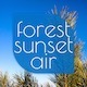 Forest Sunset Air