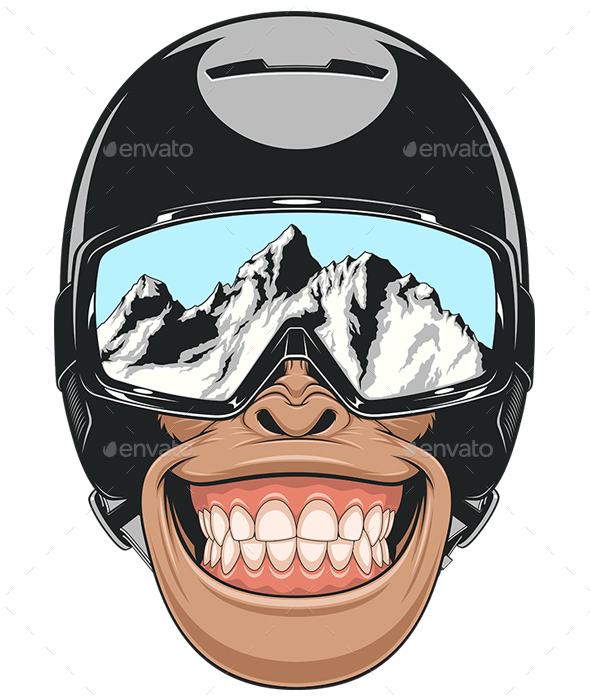 Monkey Wearing a Helmet - Sports/Activity Conceptual