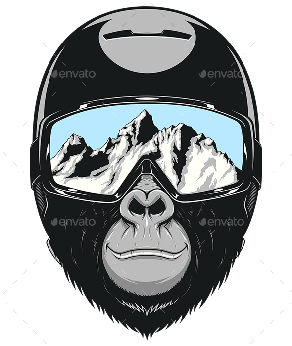 Monkey Wearing a Helmet - Sports/Activity Conceptual