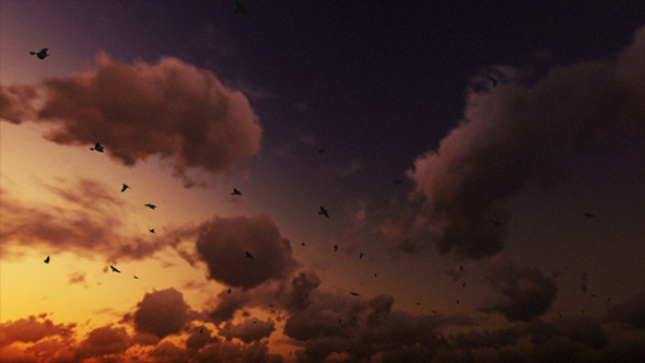 Birds Fly Against Beautiful Sunset