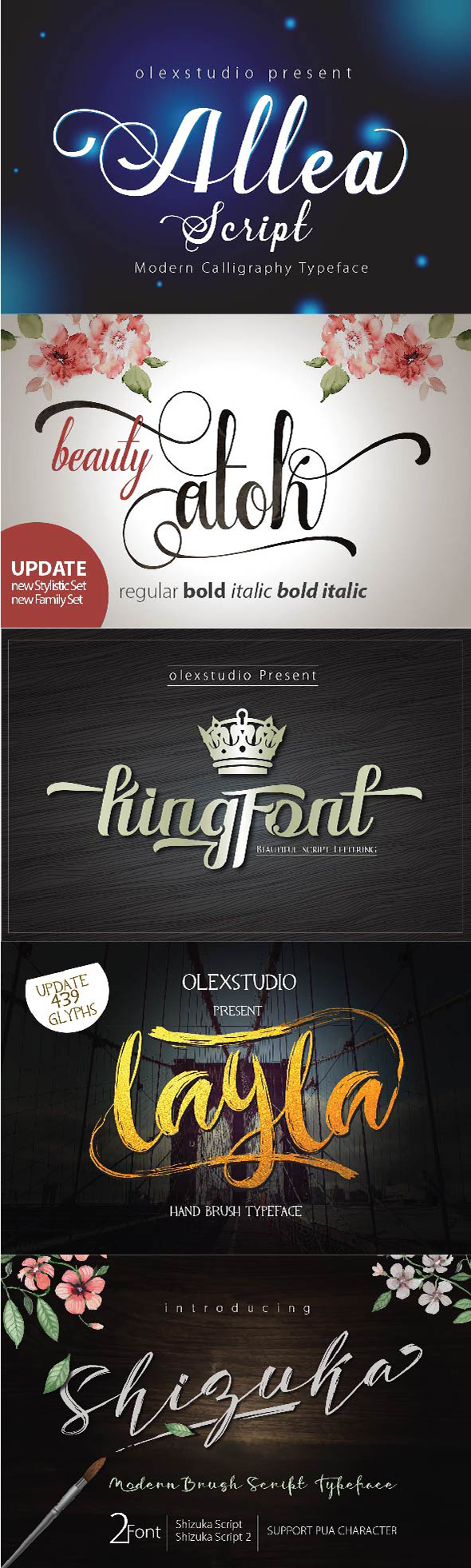 January 5 Script Font Bundle - Fonts