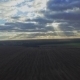 Aerial: Flight Over The Wheat Field In Sunset - VideoHive Item for Sale