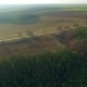 Flight Over The Fields And Forest - VideoHive Item for Sale