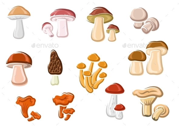 Forest Delicacy Edible Mushrooms Set - Food Objects