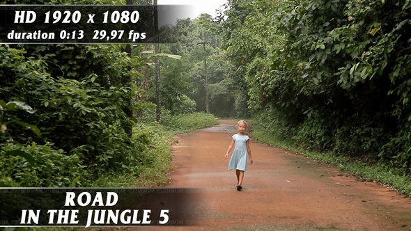 Road In The Jungle No.5