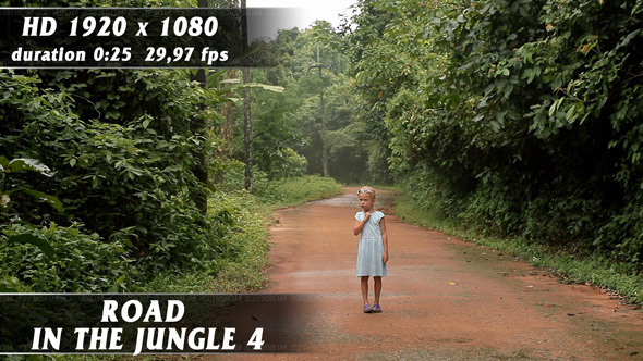 Road In The Jungle No.4