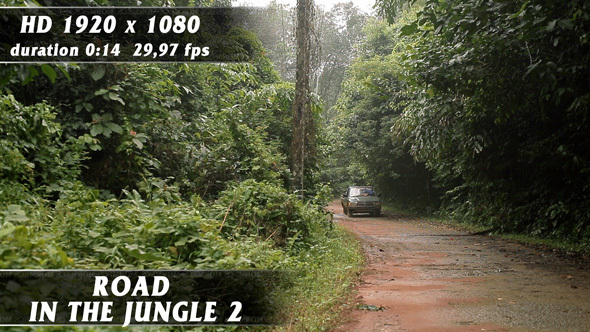 Road In The Jungle No.2