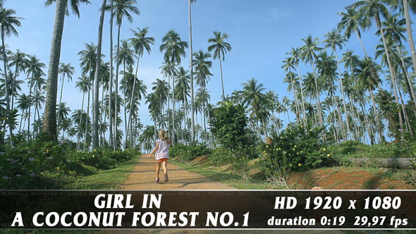 Girl In A Coconut Forest No.1