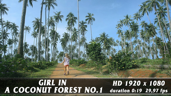 Girl In A Coconut Forest No.1 alt