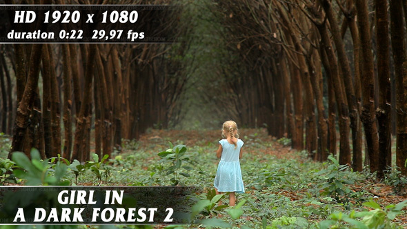 Girl In A Dark Forest No.2 alt