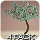 Money Tree - 4 Pack - VideoHive Item for Sale