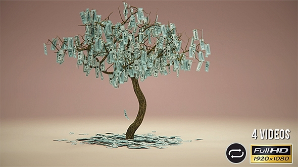 Money Tree - 4 Pack