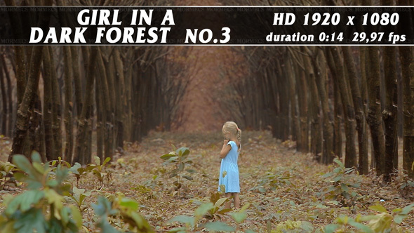 Girl In A Dark Forest No.3