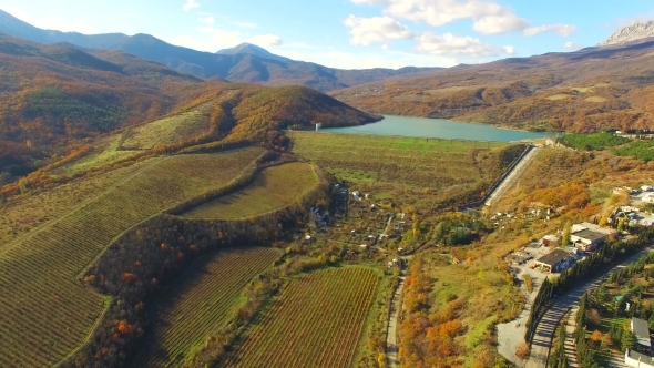 AERIAL VIEW. Hilly Terrain With Grape Fields