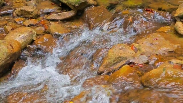 Small Stream Flowing Down Among Stones