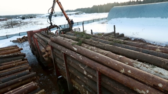 View Of Unloading Logs At Sawmill In Winter 
