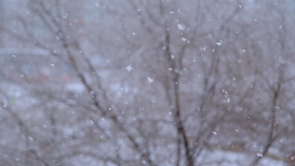 Heavy Snow Falls alt