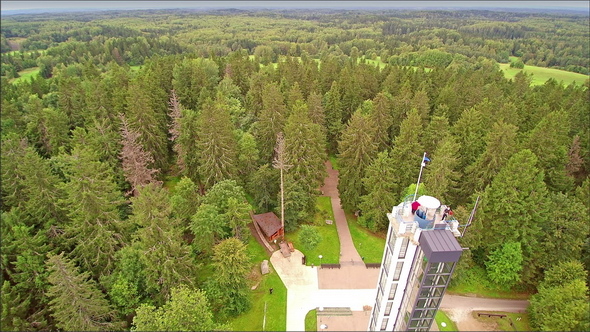Tall Green Trees Surrounding the Highest Peak in Estonia