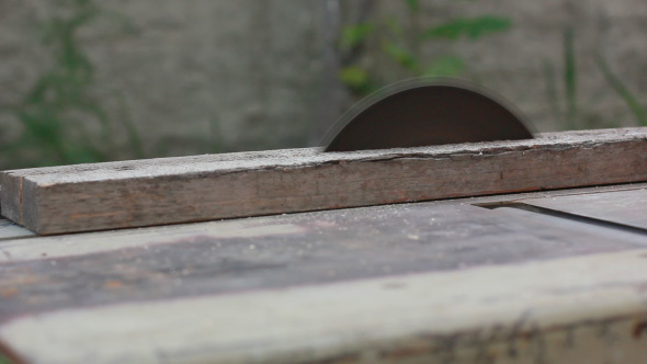 Circular Saw Working And Sawing Timber Board