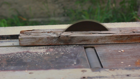 Circular Saw Working And Sawing Timber Board