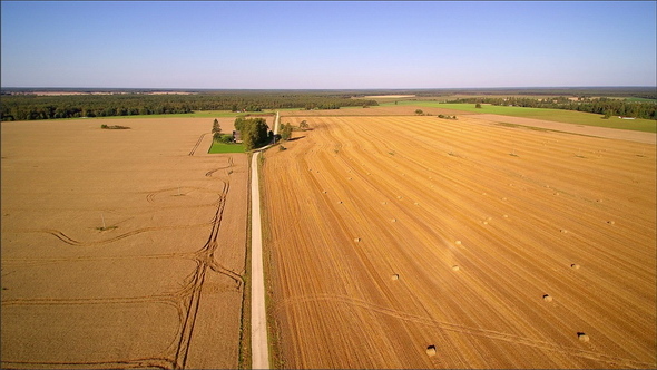 Two Big and Huge Agricultural Land in Estonia