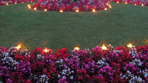 Candle Light on the Flowers in the Garden