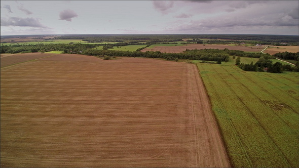 Aerial Shot of the Bean Fields in Estonia