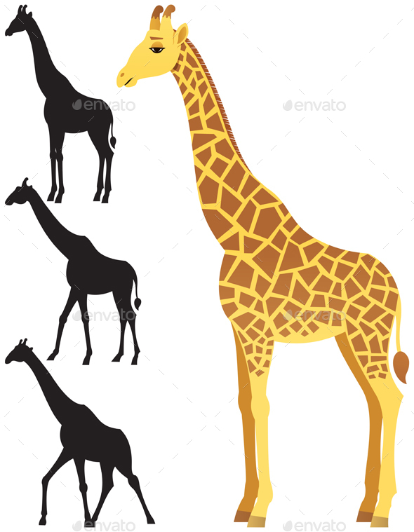 Giraffe - Animals Characters